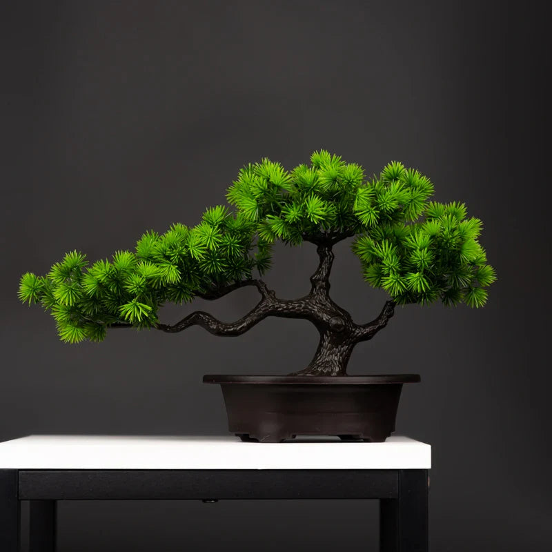 Decoration