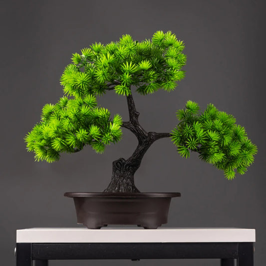 Plasticplant for Decoration