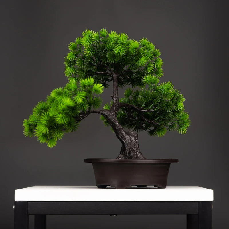 Plasticplant for Decoration
