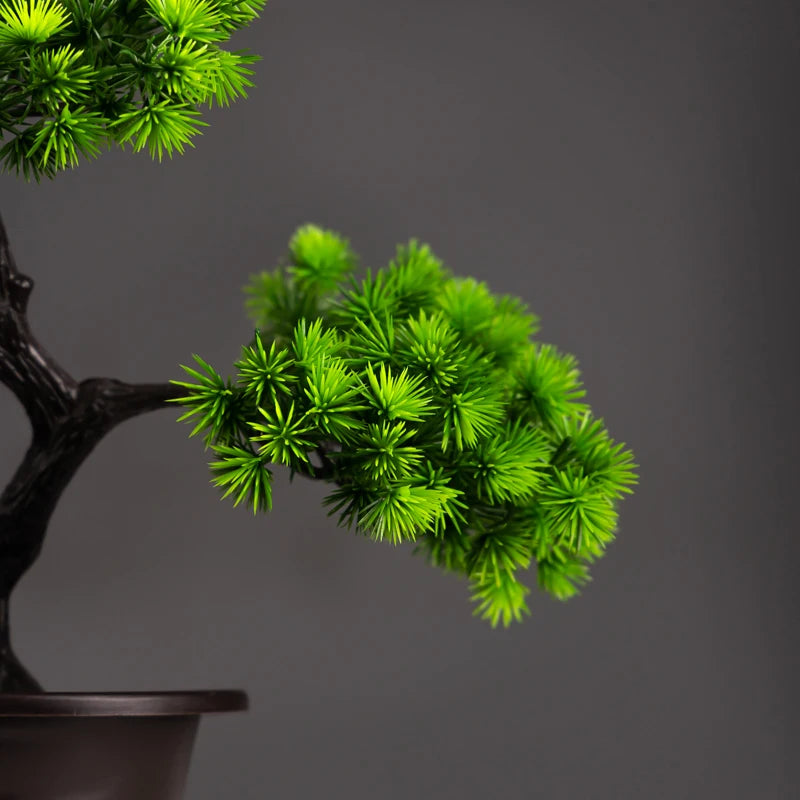 Plasticplant for Decoration